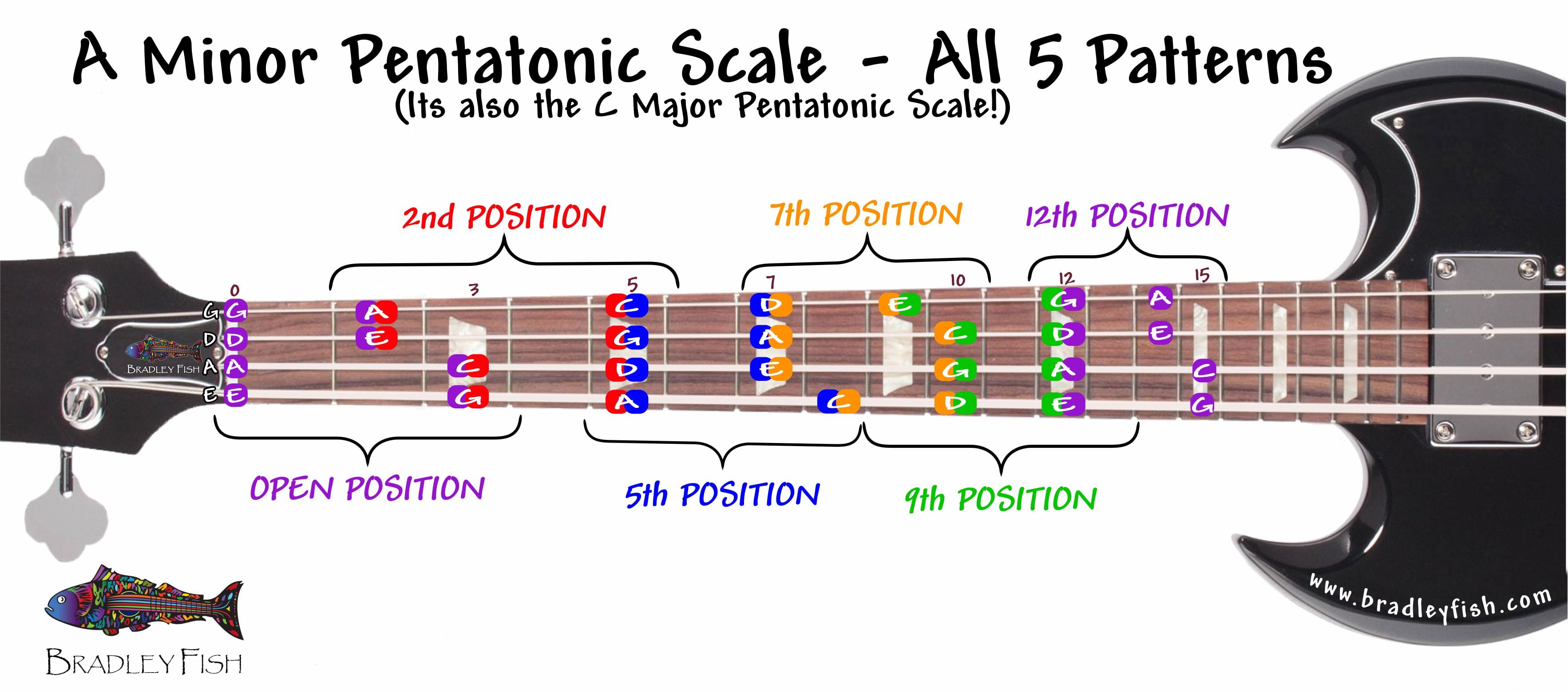 For The BASSISTS The A Minor Pentatonic Scale All Positions 