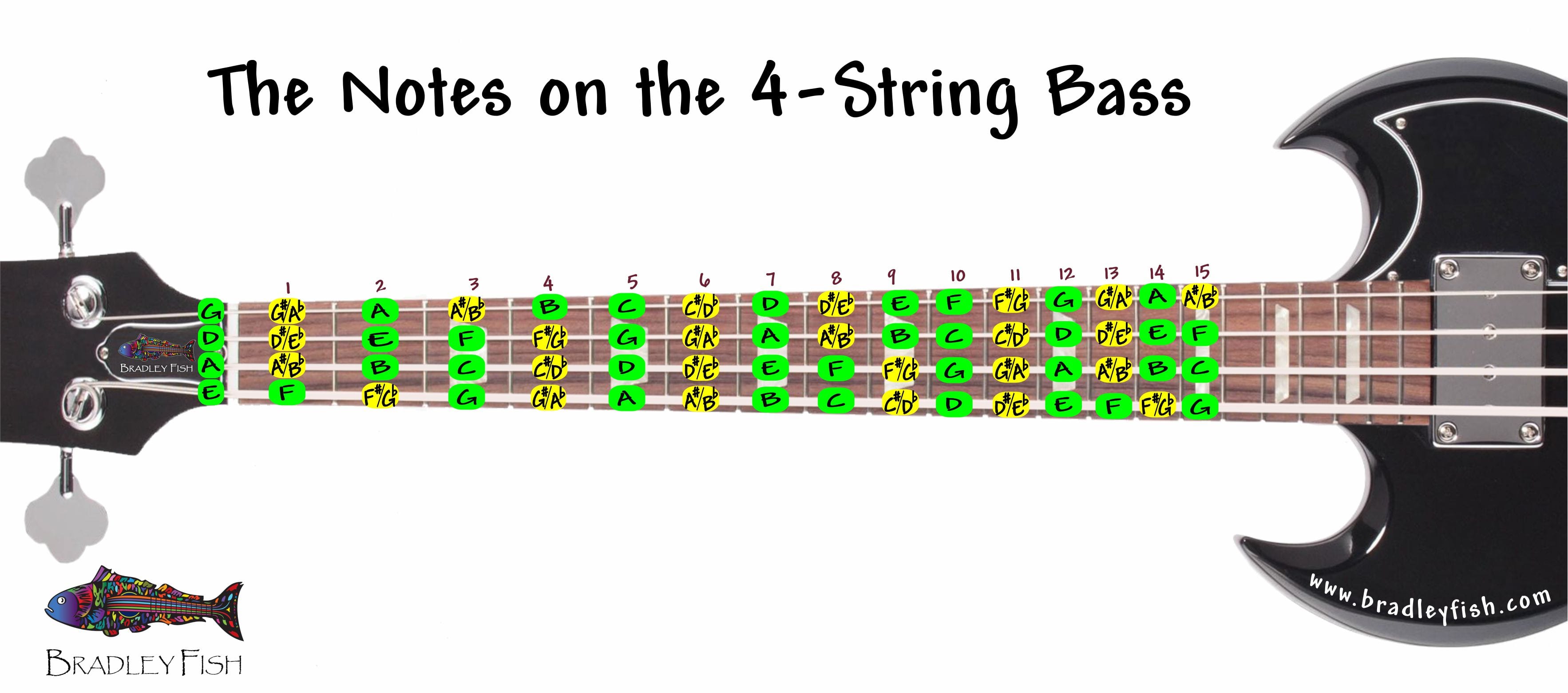 5 String Bass Fretboard Chart Printable