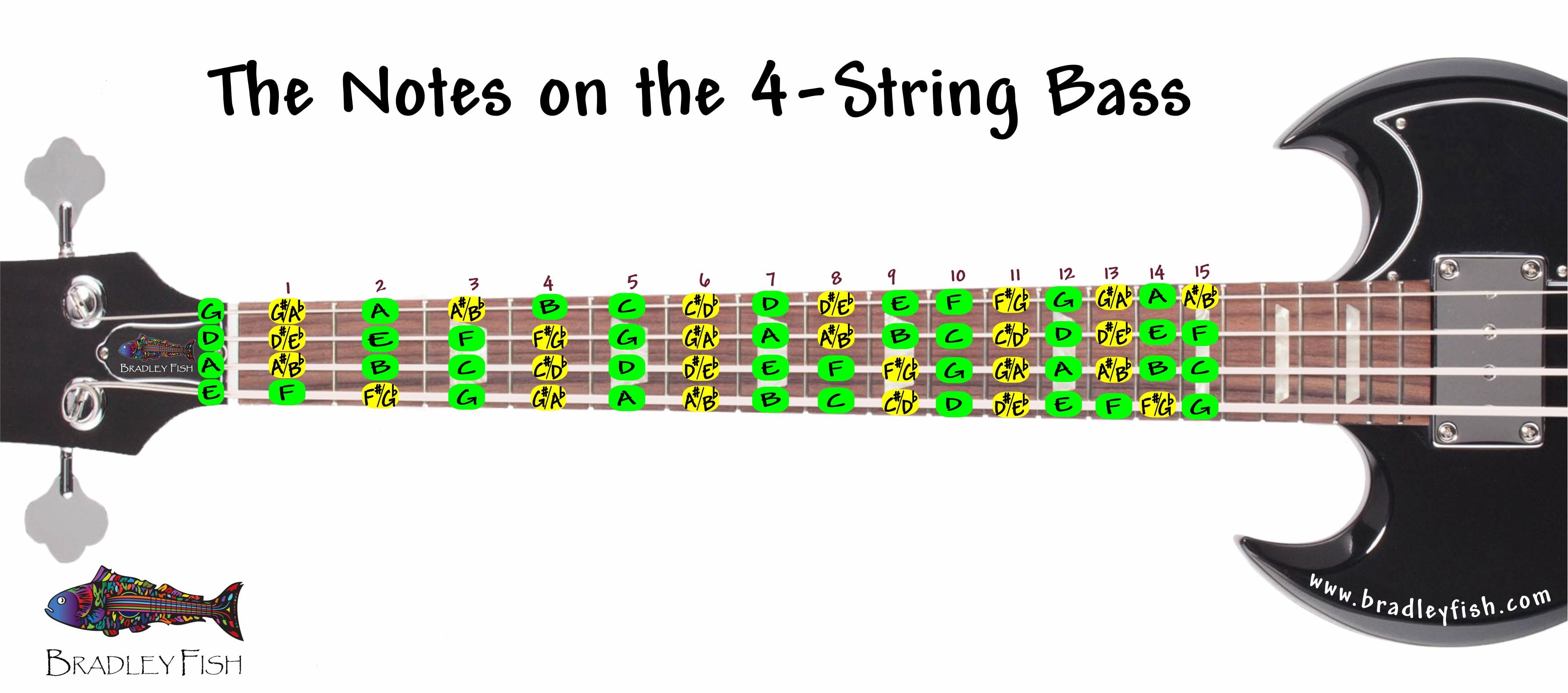 Farahzahidah11 Bass Guitar Notes 4 String