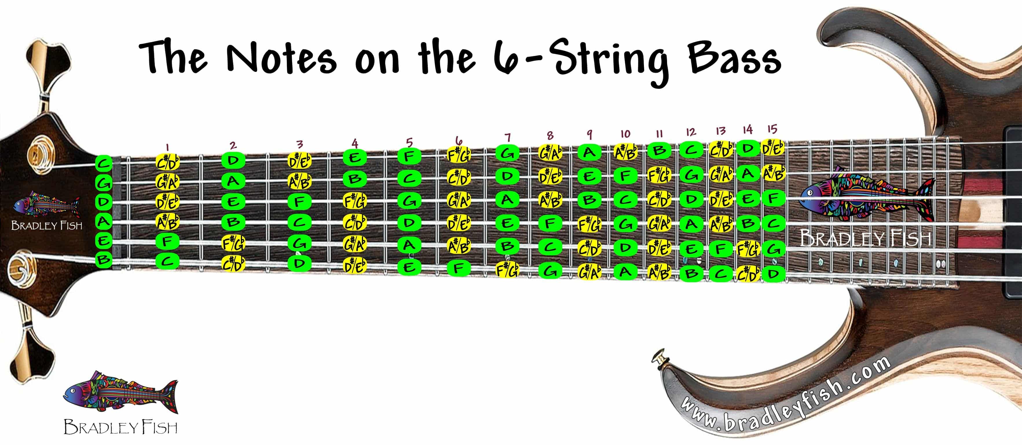 What are the notes on the 6-string bass – Bradley Fish