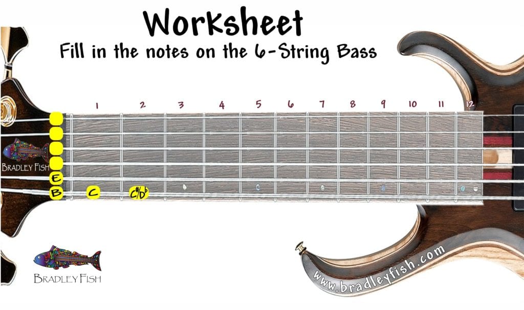 The Notes on the 6-String Bass Guitar! - Bradley Fish