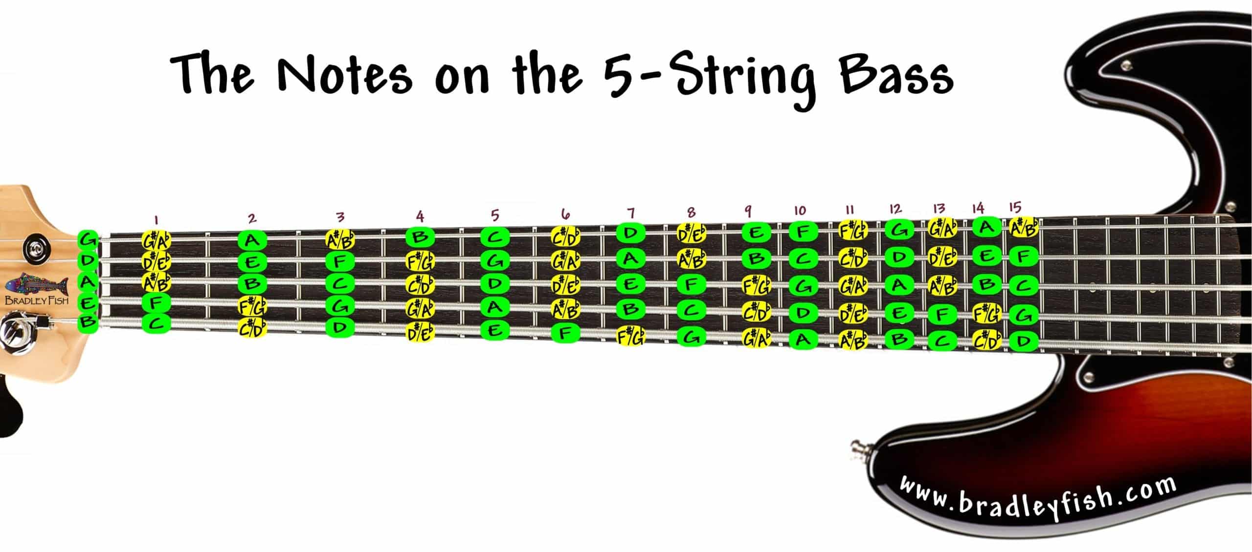 The Notes on the 5 String Bass!! Bradley Fish