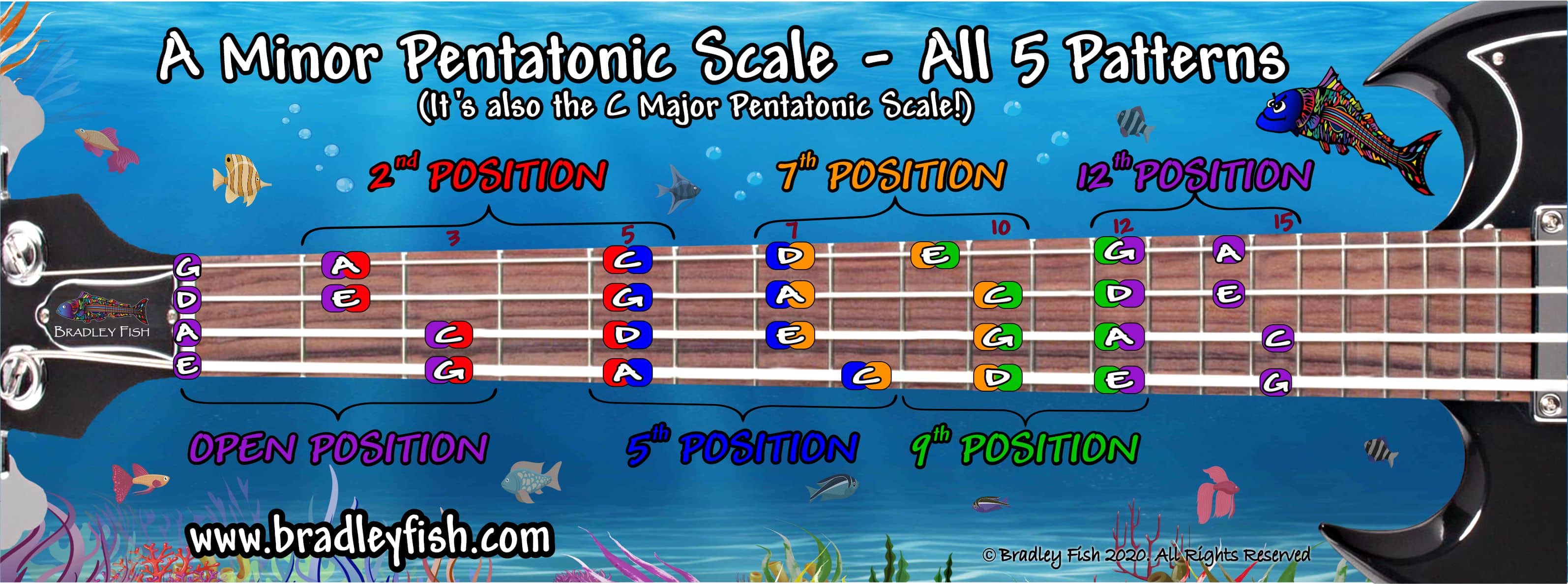 A Minor Pentatonic Scale - All 5 patterns for the whole Bass Guitar -  Newer, Prettier, Fishier!!! - Bradley Fish