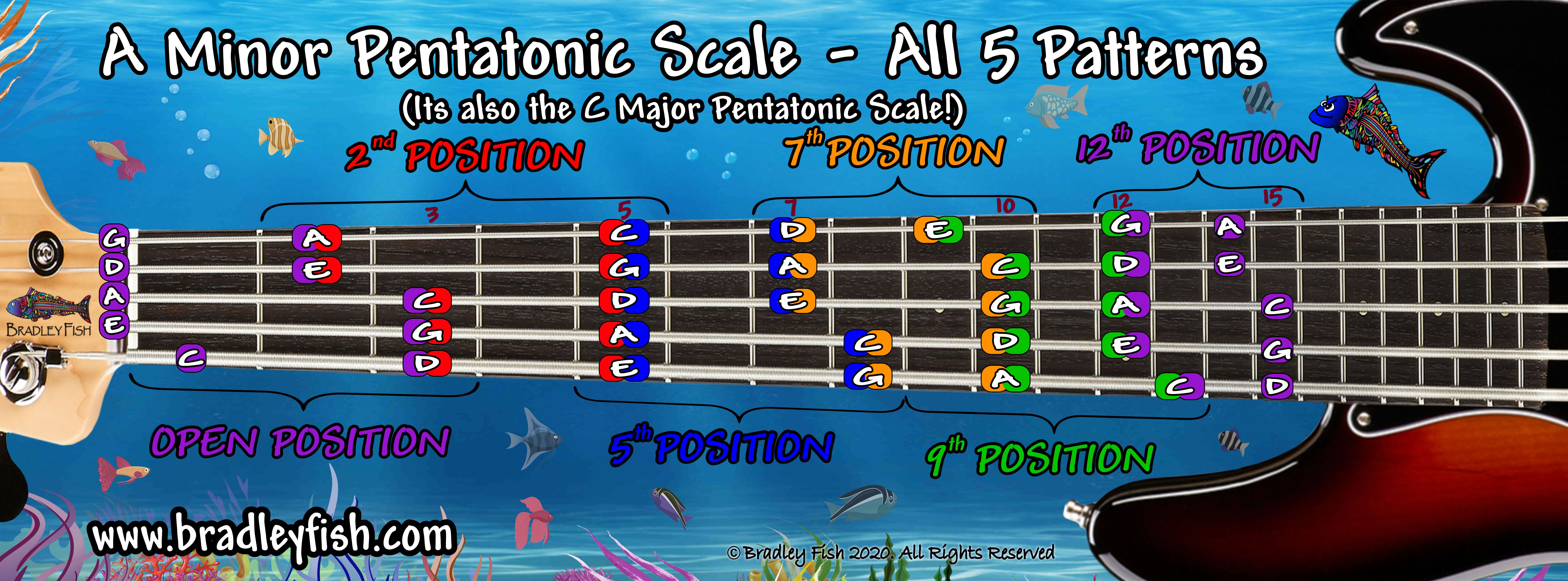 All 5 of the 5-string Bass A Minor Pentatonic Scale Patterns. Its also the  C Major Pentatonic scale! FULL Color - Bradley Fish