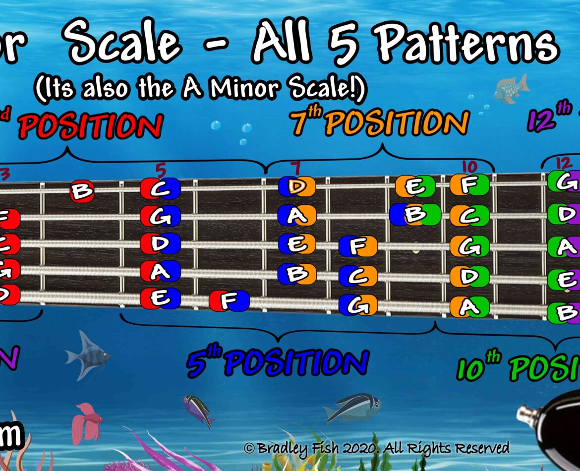 The C Major Scale — and the A Minor Scale — on the 5 String Bass!! Full Color.