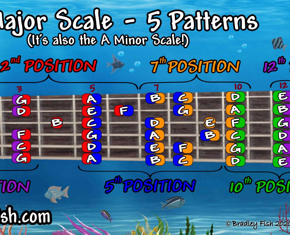 The C Major Scale & A Natural Minor Scale on Guitar – in Full Color!