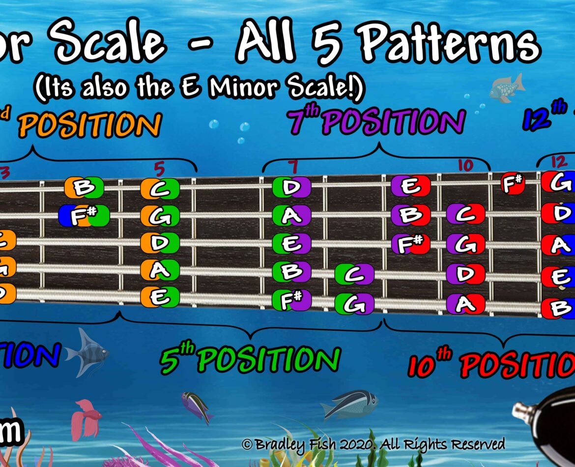 The G Major Scale and E Minor Scale on the 5 String Bass!!
